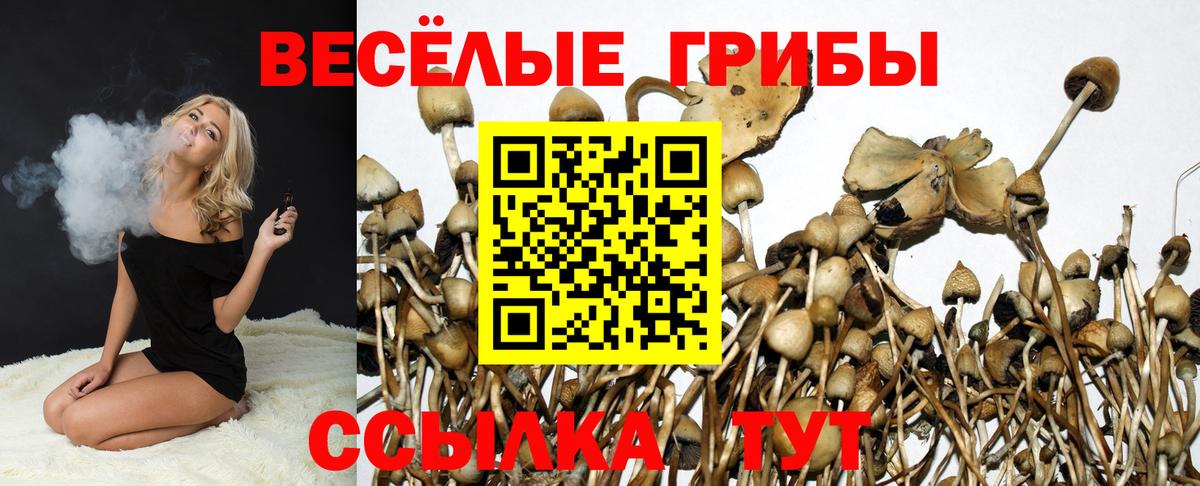 Псилоцибиновые грибы GOLDEN TEACHER  Псилоцибиновые грибы Cubensis  Вход с VPN  Богданович 